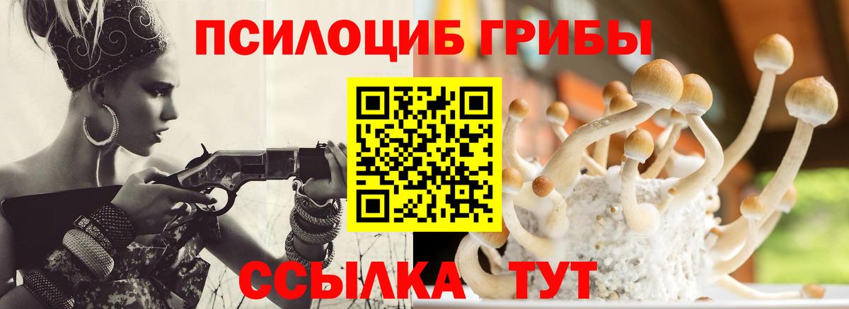 Псилоцибиновые грибы MAGIC MUSHROOMS Тимашёвск
